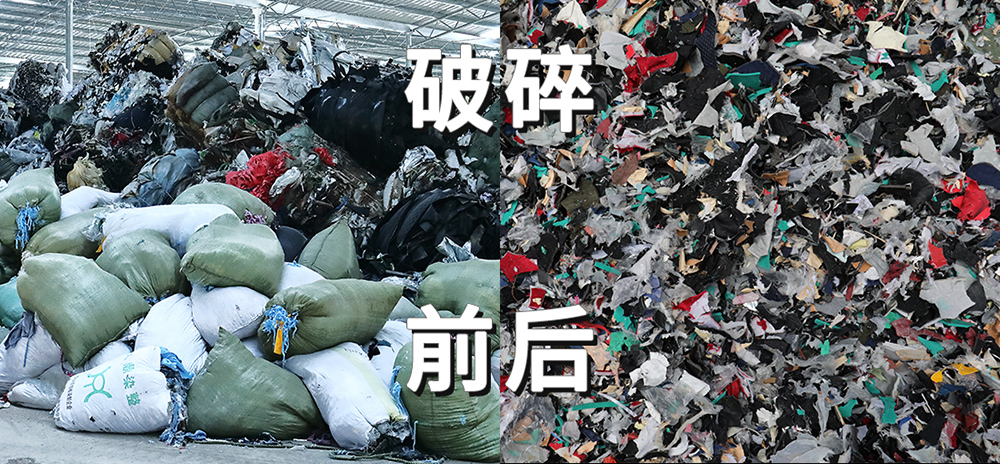 feifangzhi20241203 (4).jpg